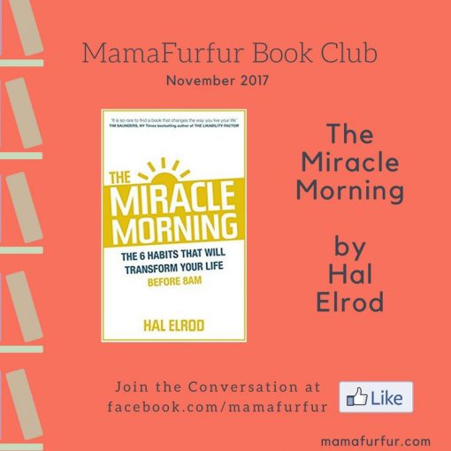 The Miracle Morning Mamafurfur Book Club November 2017