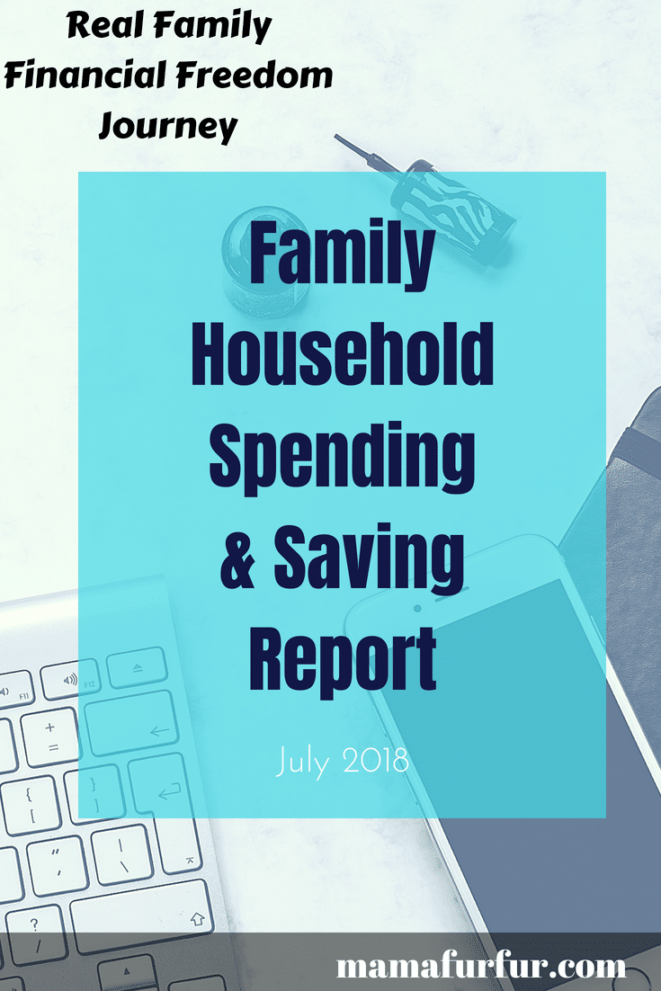 July 2018 Debt Free Household Spending and Saving report - Real Family Budget #budgeting #debtfree #financialfreedom