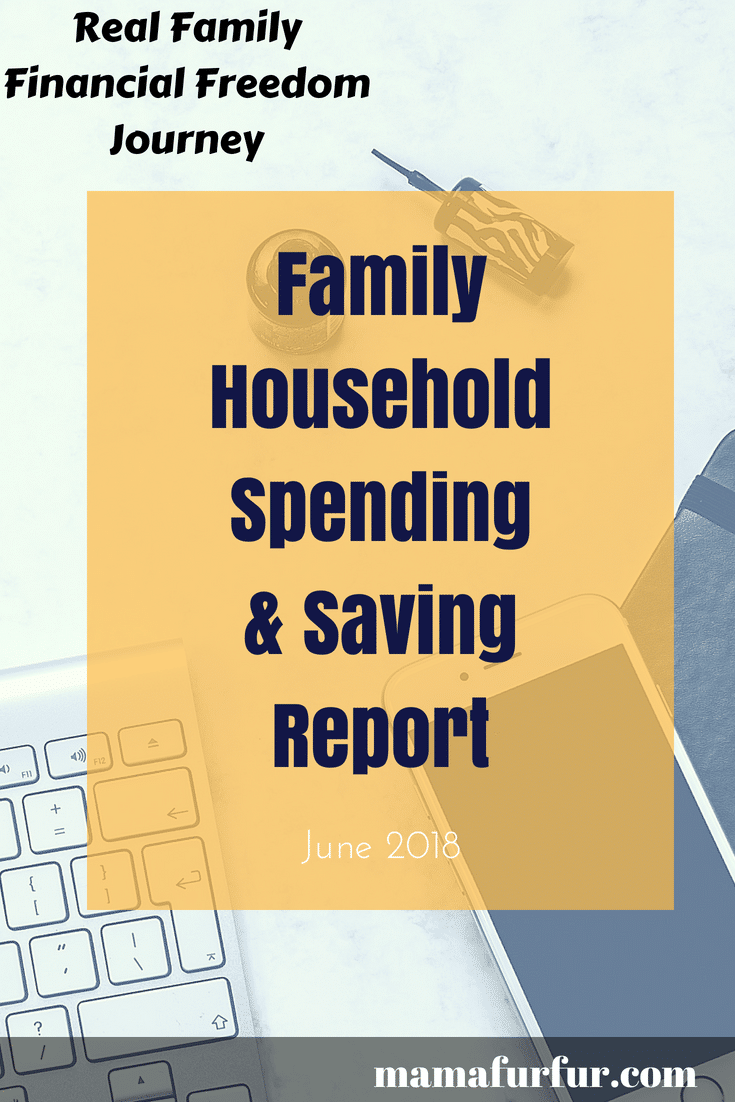 Family Household Spending and Savings #budgeting #finances #familyfinances #howtosave