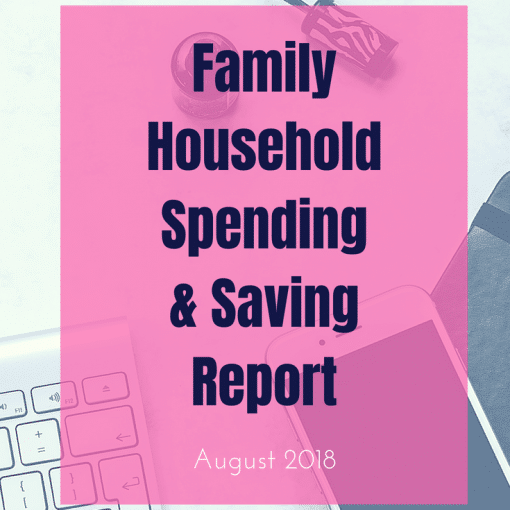 Family Household Spending and Saving Report August 2018 - Real family financial freedom journey #budgeting #financialfreedom #smarterfinances