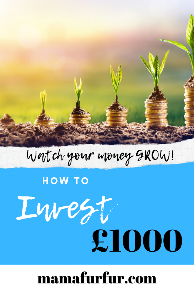 How to Invest £1000 - 5 Smart ways to Start Investing - Mamafurfur