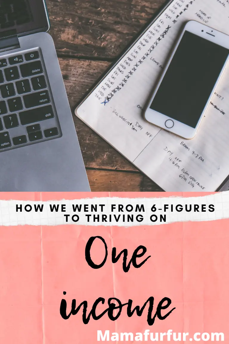 From 6 FIGURE HOUSEHOLD INCOME To ONE INCOME FAMILY How We Did It Our